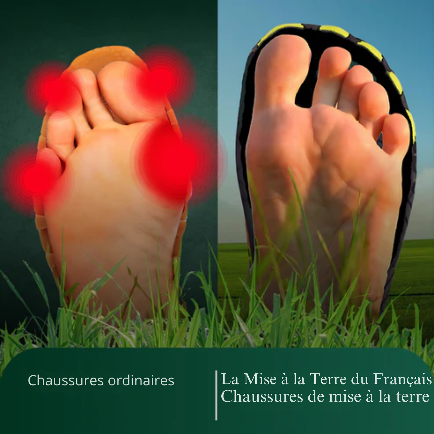 PiedsTerre™ | Libérez l'Énergie Curative de la Terre à Chaque Pas