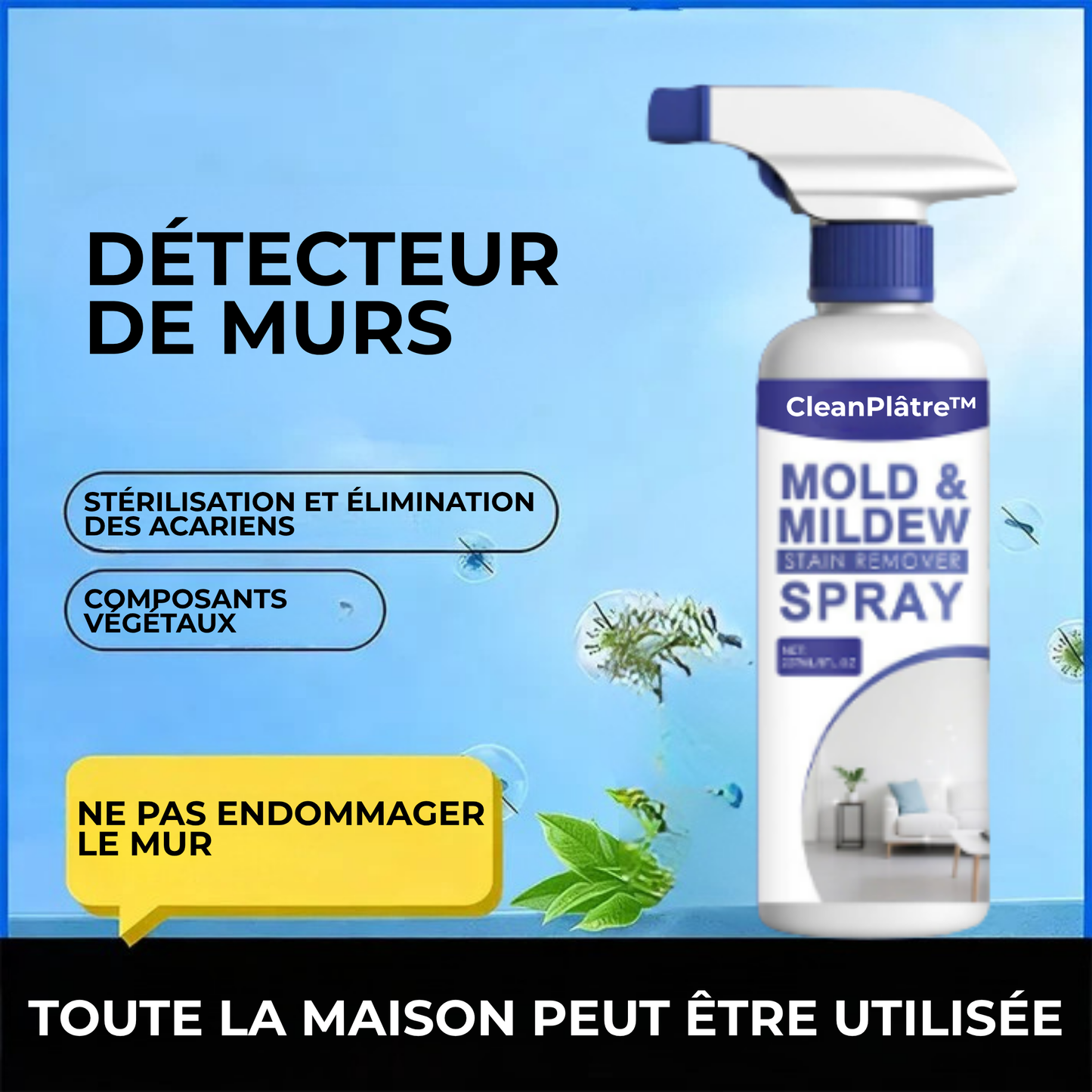 CleanPlâtre™ | Éliminez la Moisissure, Bloquez sa Réapparition Définitivement