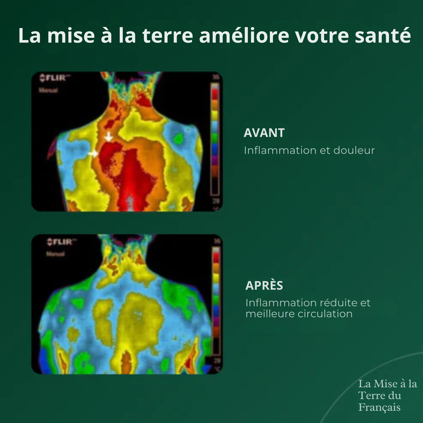PiedsTerre™ | Libérez l'Énergie Curative de la Terre à Chaque Pas