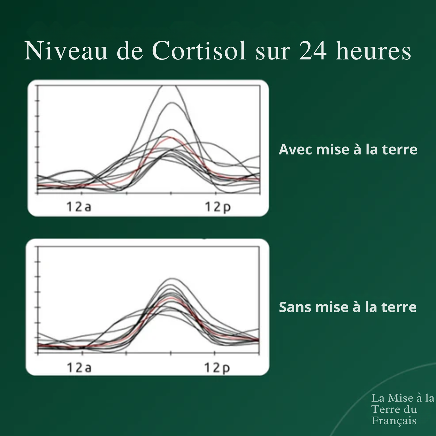 PiedsTerre™ | Libérez l'Énergie Curative de la Terre à Chaque Pas