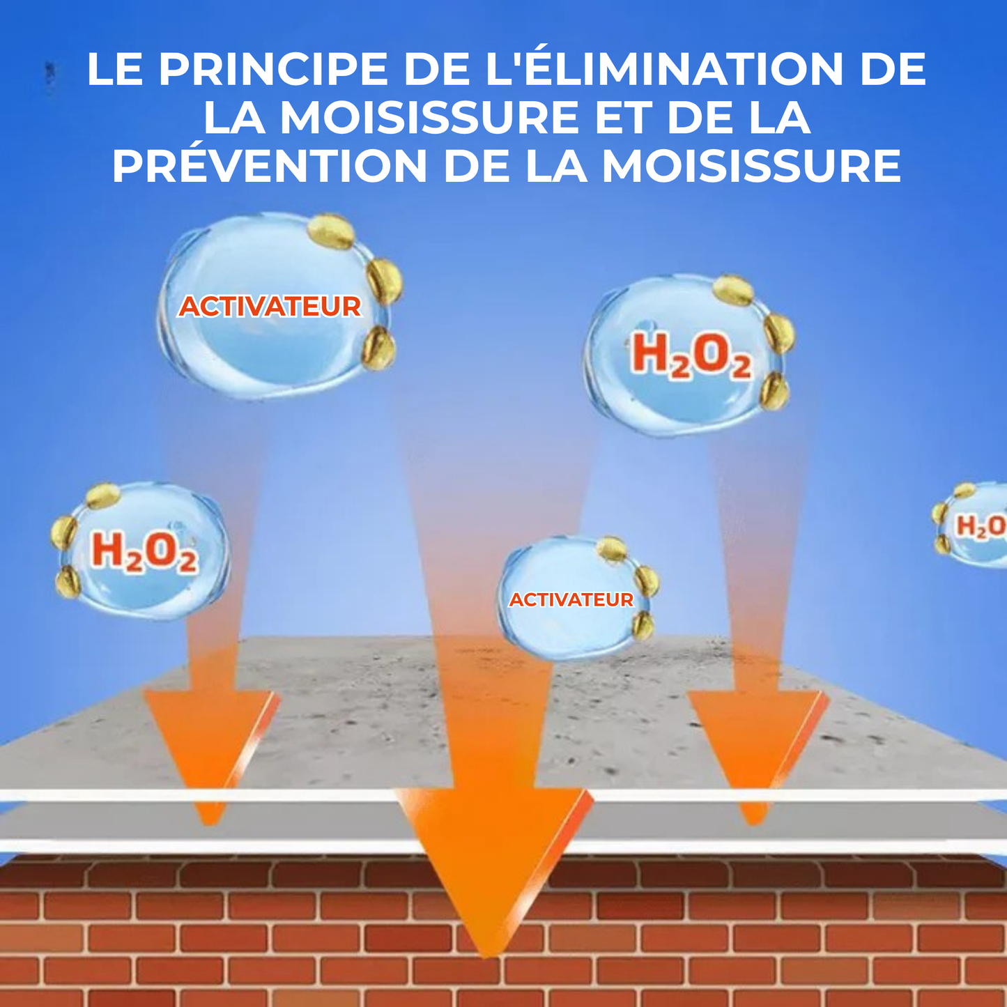 CleanPlâtre™ | Éliminez la Moisissure, Bloquez sa Réapparition Définitivement