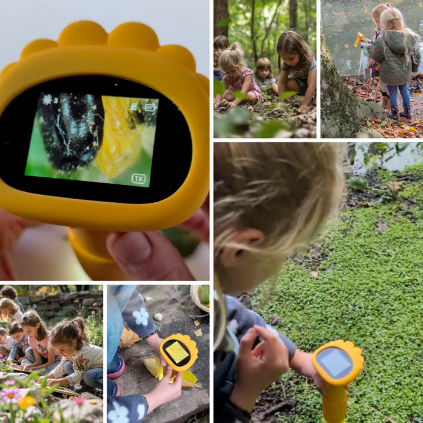 ZoomAventure™ | La Clé de Poche de l'Univers Microscopique.