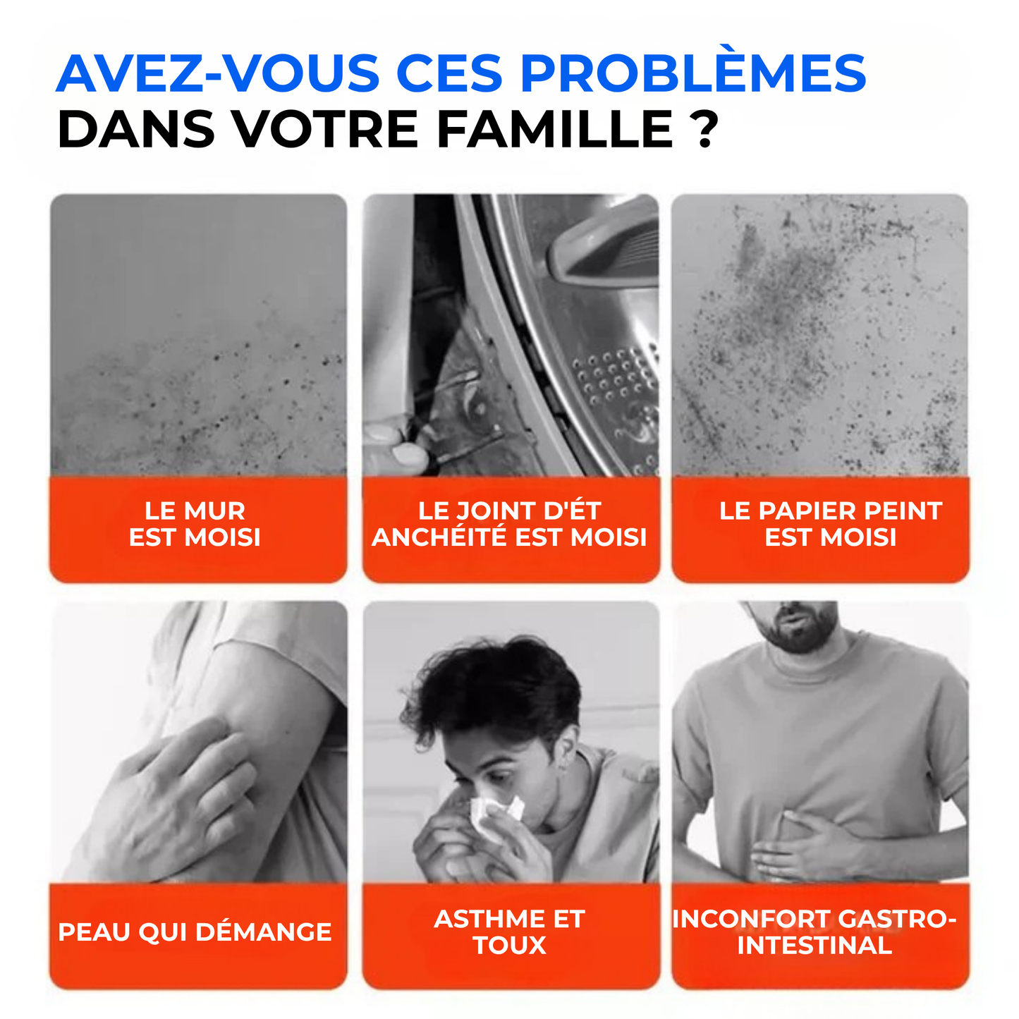 CleanPlâtre™ | Éliminez la Moisissure, Bloquez sa Réapparition Définitivement