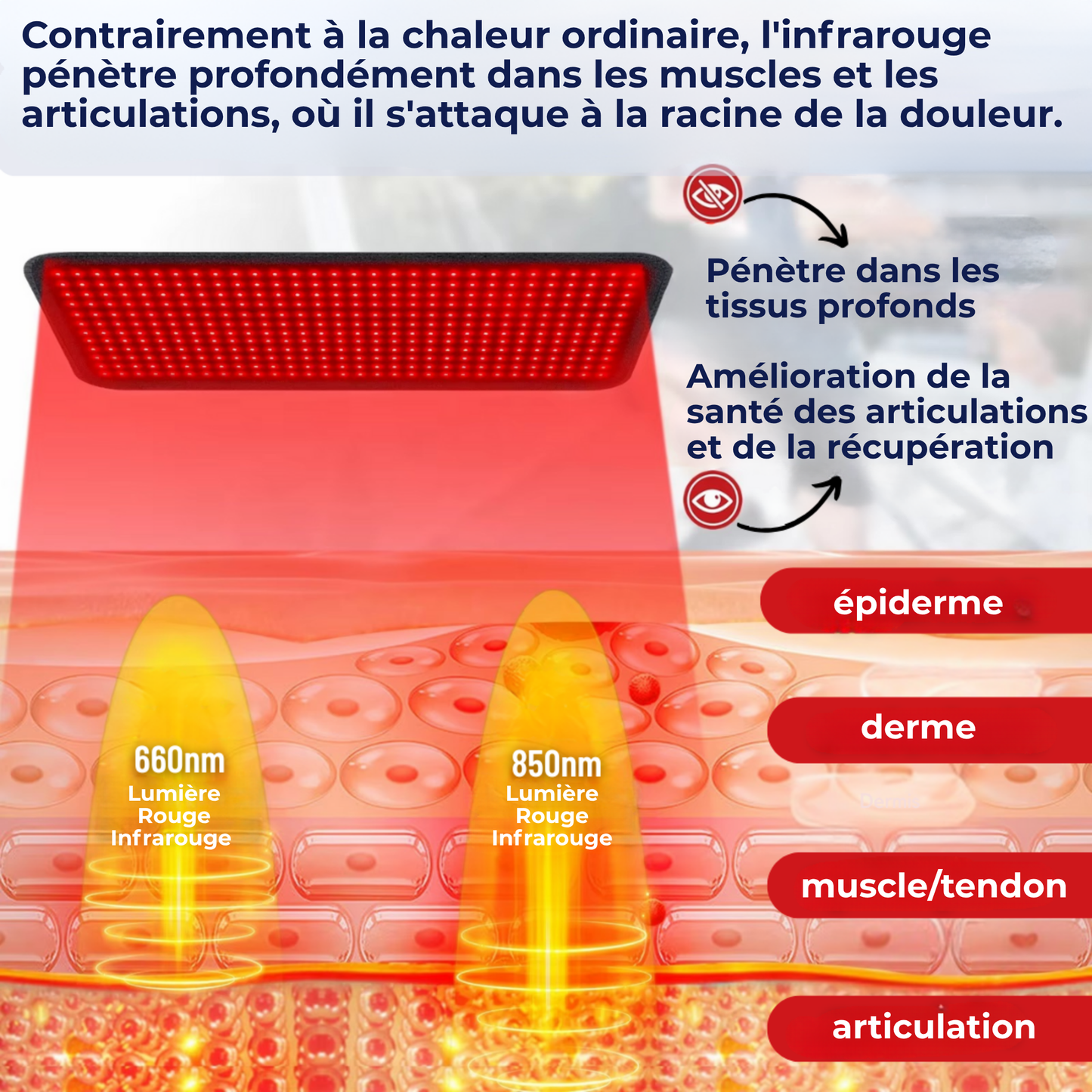 Dorsactiv™ | La Clé d'une Détente Profonde du Bas du Dos
