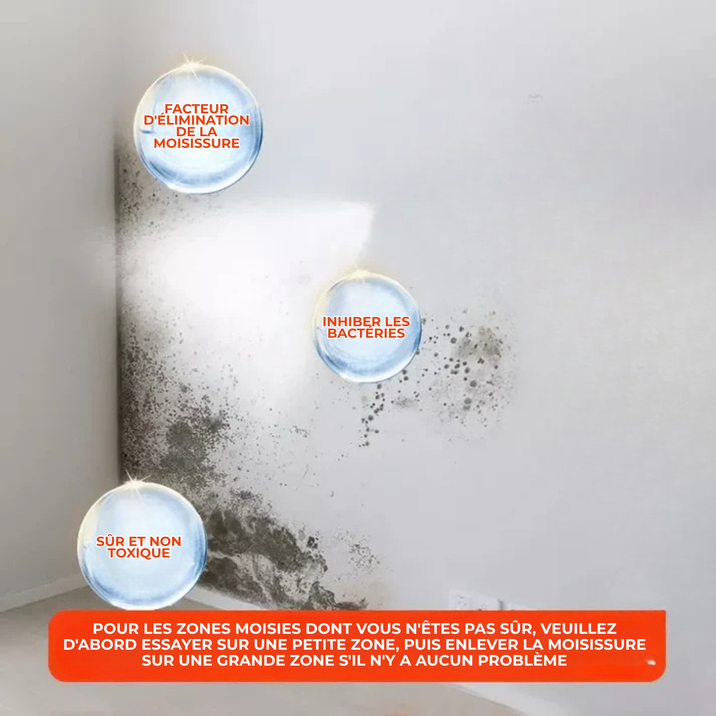 CleanPlâtre™ | Éliminez la Moisissure, Bloquez sa Réapparition Définitivement