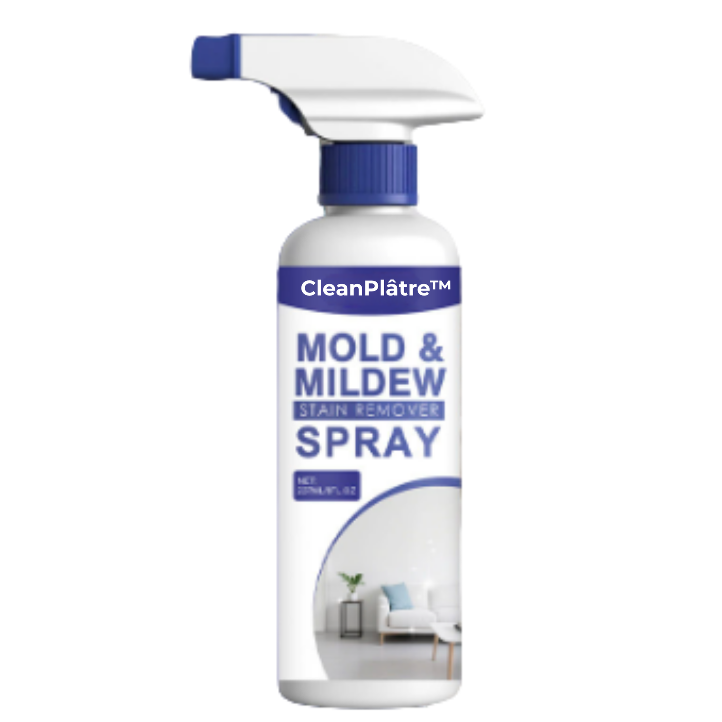 CleanPlâtre™ | Éliminez la Moisissure, Bloquez sa Réapparition Définitivement