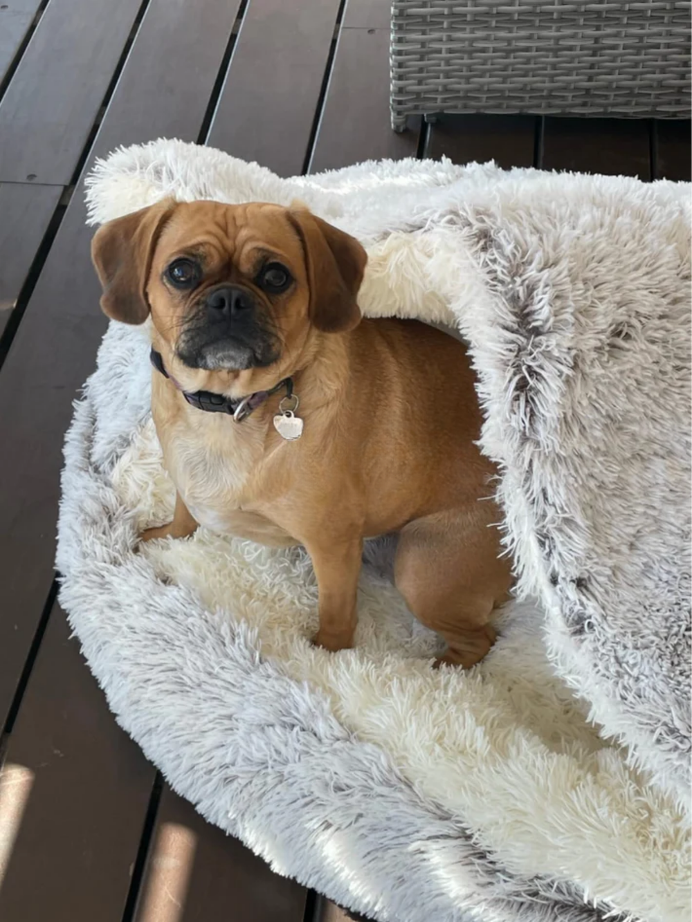 <h2><strong>Ne vous contentez pas de nous croire, voyez ce que les autres en disent!</strong></h2>