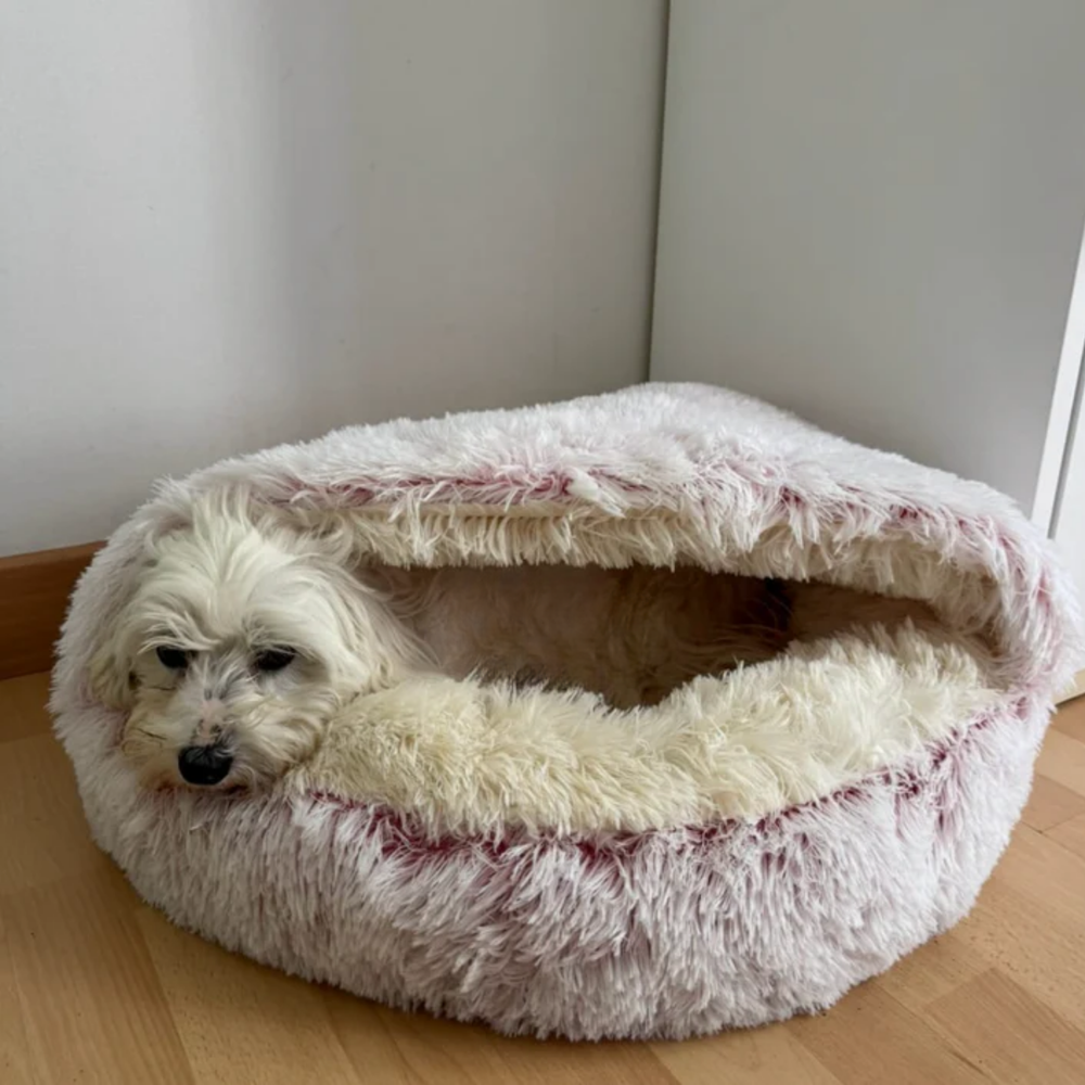 <h2><strong>Ne vous contentez pas de nous croire, voyez ce que les autres en disent!</strong></h2>