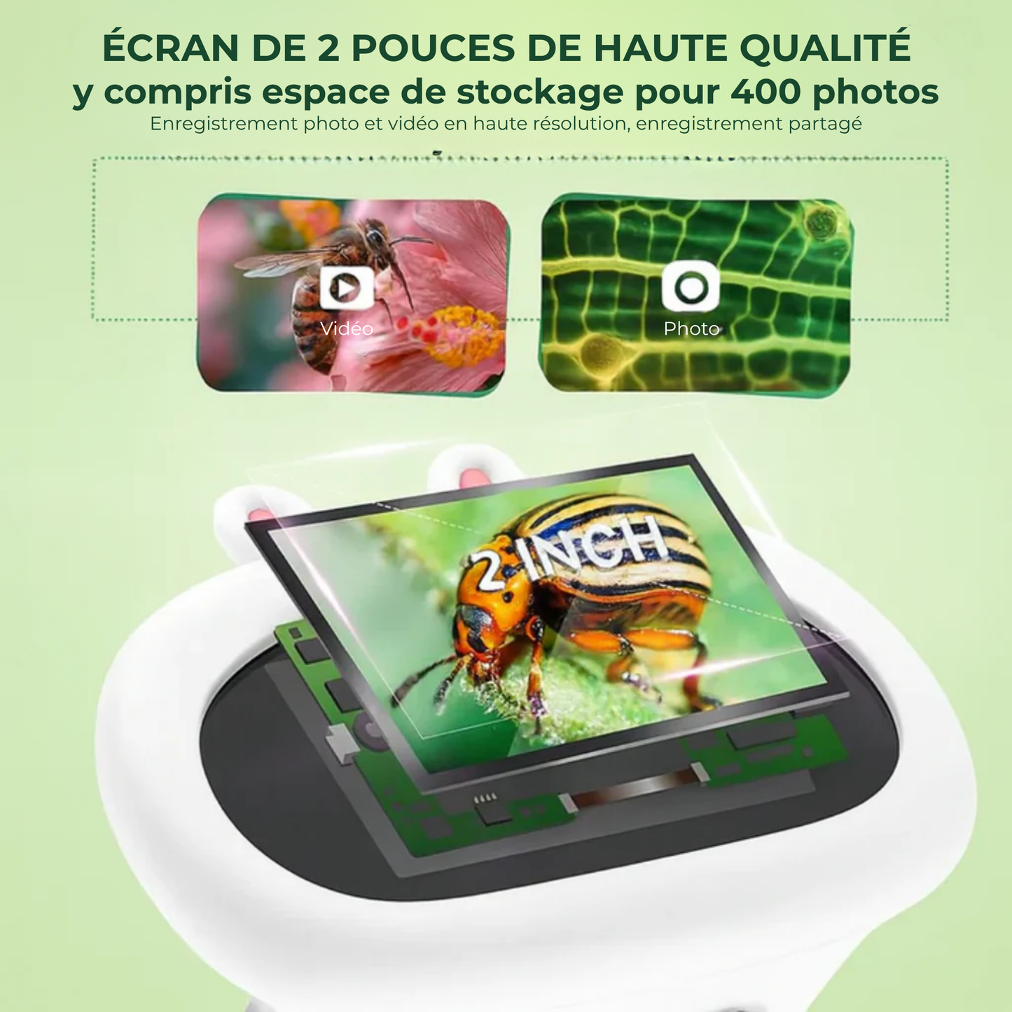 ZoomAventure™ | La Clé de Poche de l'Univers Microscopique.