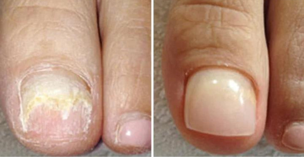 <h2><strong>Ne vous contentez pas de nous croire, voyez ce que les autres en disent!</strong></h2>