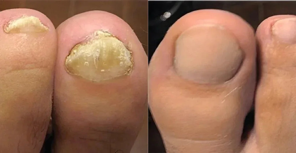 <h2><strong>Ne vous contentez pas de nous croire, voyez ce que les autres en disent!</strong></h2>