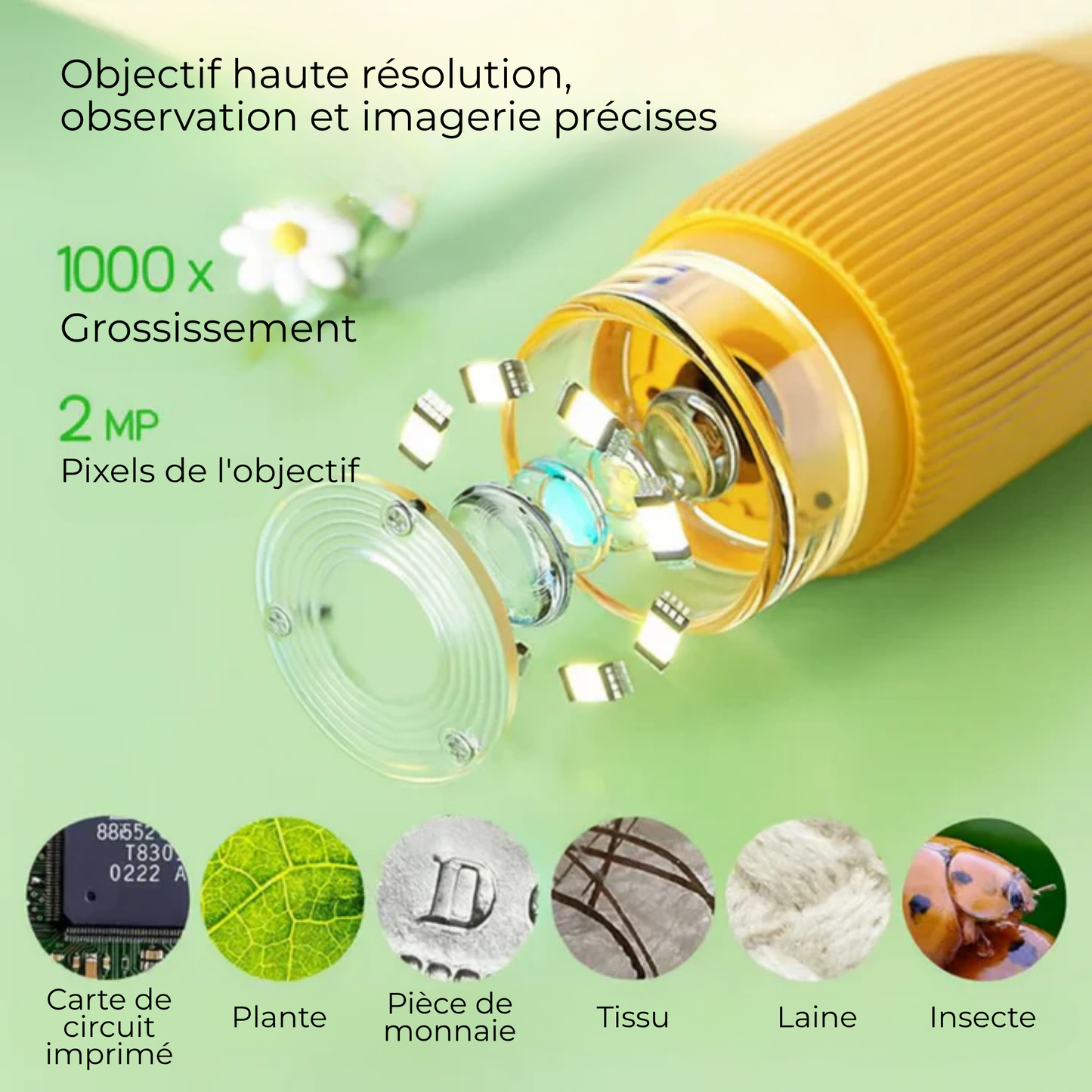 ZoomAventure™ | La Clé de Poche de l'Univers Microscopique.