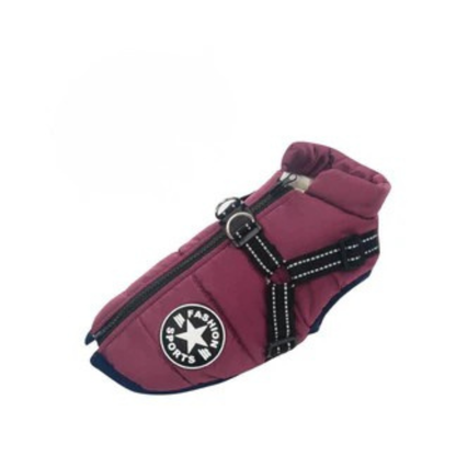 ParkaPatou™ | La Solution 2-en-1 et Tous Temps pour les Promenades Hivernales.