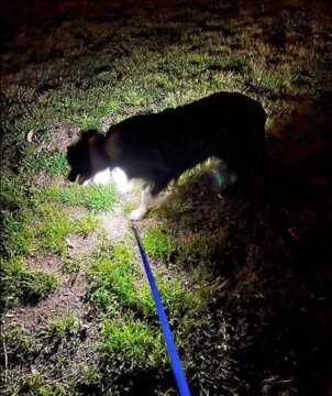 <h2><strong>Ne vous contentez pas de nous croire, voyez ce que les autres en disent!</strong></h2>