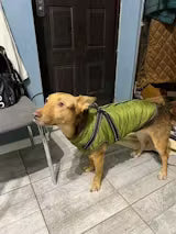 <h2><strong>Ne vous contentez pas de nous croire, voyez ce que les autres en disent!</strong></h2>