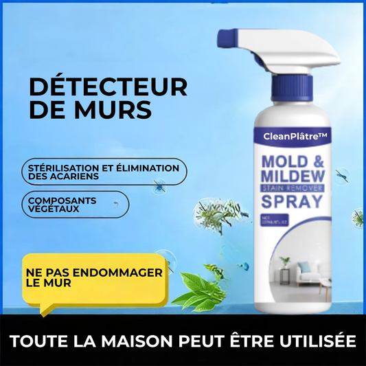 CleanPlâtre™ | Éliminez la Moisissure, Bloquez sa Réapparition Définitivement