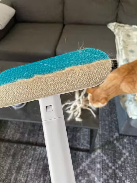 <h2><strong>Ne vous contentez pas de nous croire, voyez ce que les autres en disent!</strong></h2>