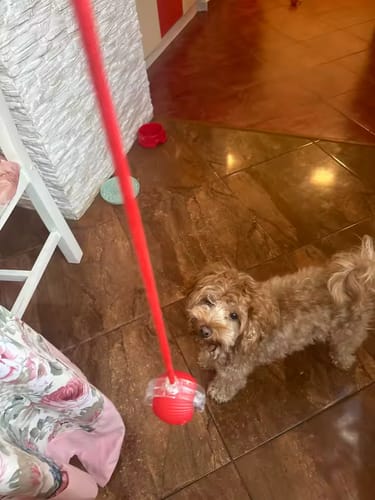 <h2><strong>Ne vous contentez pas de nous croire, voyez ce que les autres en disent!</strong></h2>