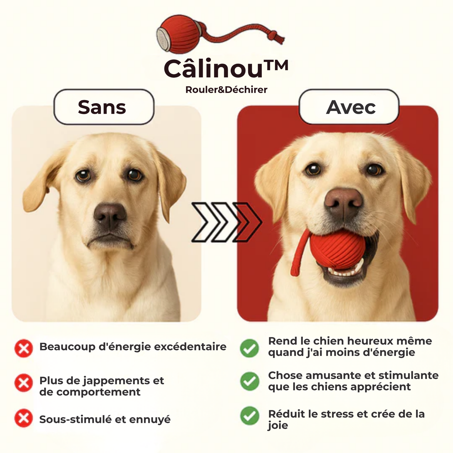 Câlinou™ | Stop l'Ennui. Lancez le Jeu. Obtenez un Chien Calme