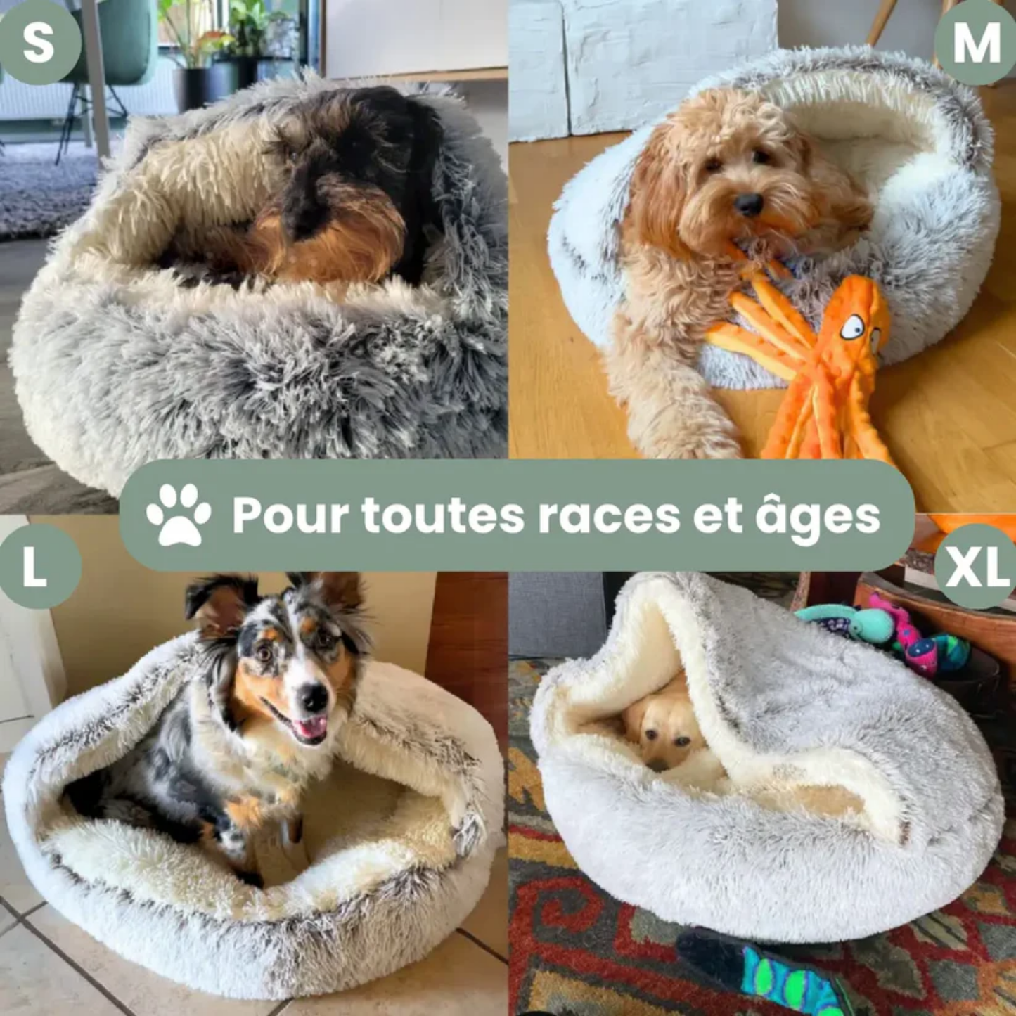 Coussin Cocoon™ | Le Secret Neurologique Qui Stoppe Net l'Anxiété de Séparation