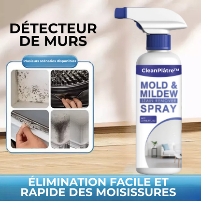 CleanPlâtre™ | Éliminez la Moisissure, Bloquez sa Réapparition Définitivement