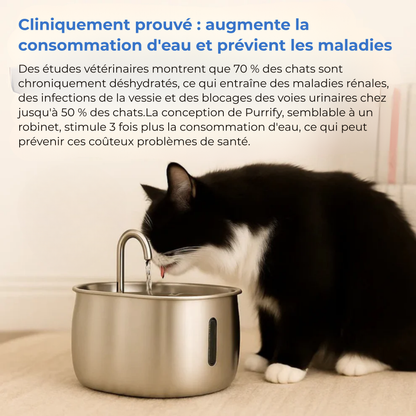 FonteauSain™ | Dites Adieu aux Bols Stagnants et Bonjour à l'Eau qui Prolonge la Vie.