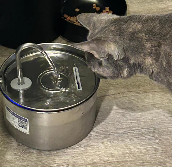 <h2><strong>Ne vous contentez pas de nous croire, voyez ce que les autres en disent!</strong></h2>