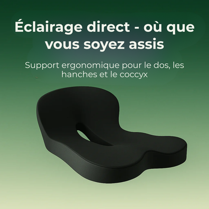 ZenPosture™ | Le soulagement de pression ultime : Asseyez-vous plus intelligemment, pas plus difficilement.