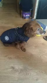 <h2><strong>Ne vous contentez pas de nous croire, voyez ce que les autres en disent!</strong></h2>