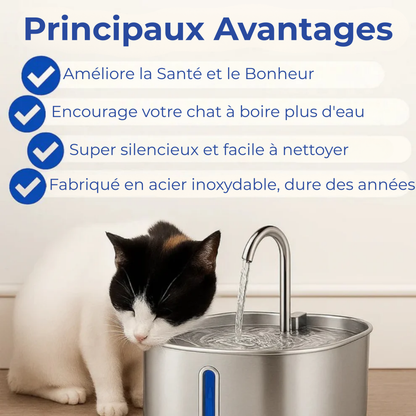 FonteauSain™ | Dites Adieu aux Bols Stagnants et Bonjour à l'Eau qui Prolonge la Vie.