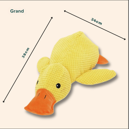 DuckZen™ | Le Coin-Coin Qui Apaise — Confort Instinctif et Plaisir Interactif !