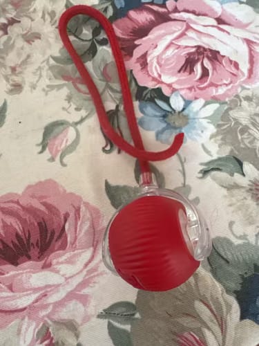 <h2><strong>Ne vous contentez pas de nous croire, voyez ce que les autres en disent!</strong></h2>