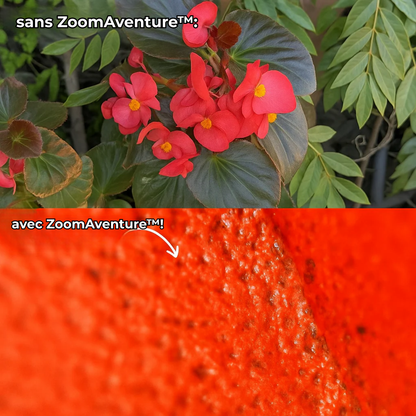 ZoomAventure™ | La Clé de Poche de l'Univers Microscopique.