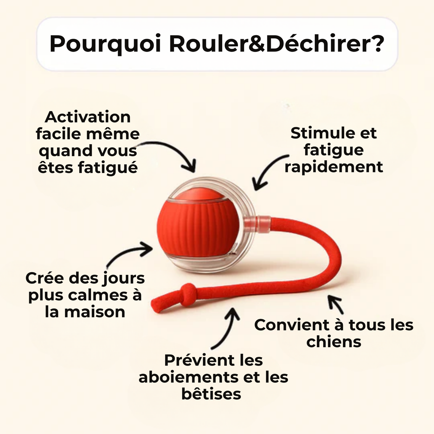 Câlinou™ | Stop l'Ennui. Lancez le Jeu. Obtenez un Chien Calme