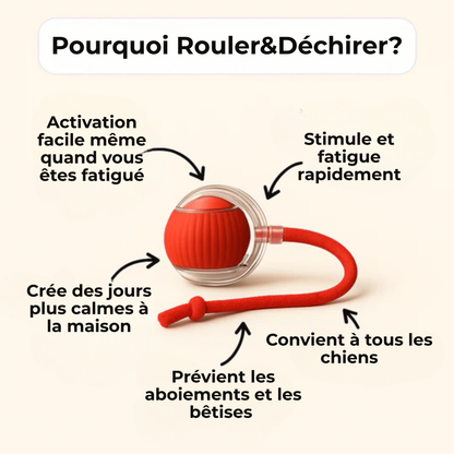 Câlinou™ | Stop l'Ennui. Lancez le Jeu. Obtenez un Chien Calme