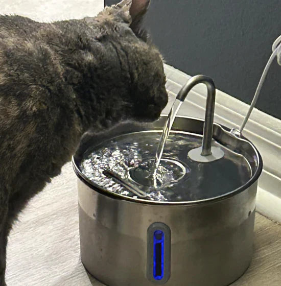 <h2><strong>Ne vous contentez pas de nous croire, voyez ce que les autres en disent!</strong></h2>