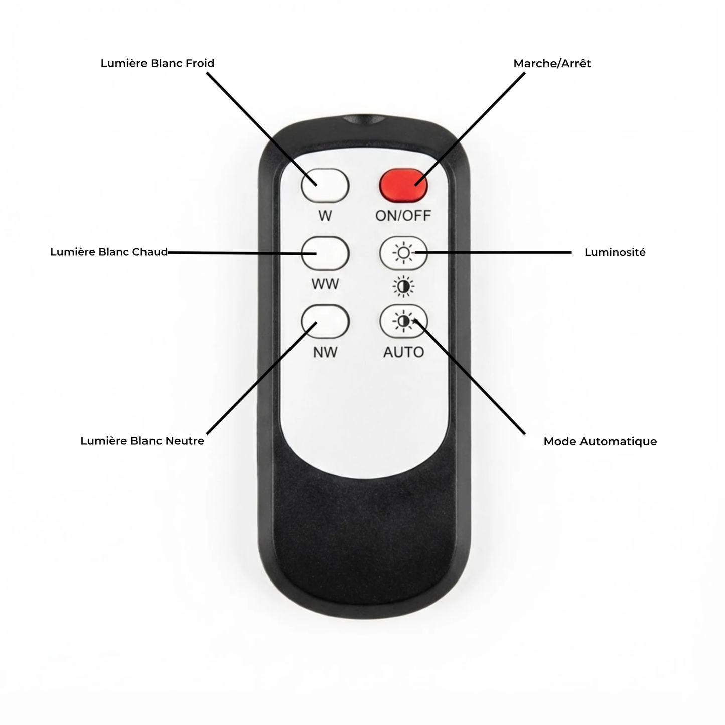 Lumière Plug+™ | Ambiance sans Effort. Lumière Parfaite. Chaque Nuit.