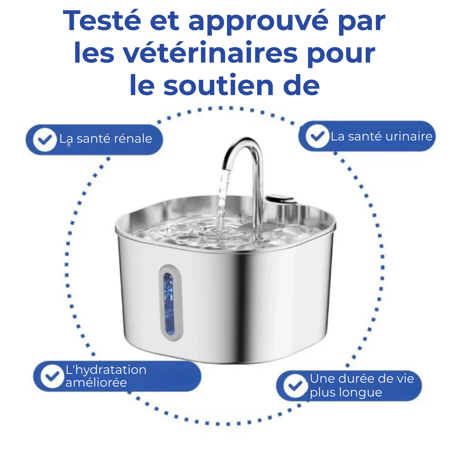 FonteauSain™ | Dites Adieu aux Bols Stagnants et Bonjour à l'Eau qui Prolonge la Vie.