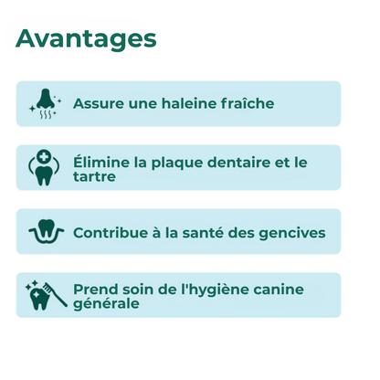DentÉclat™ | Le Secret Probiotique d'un Sourire Plus Éclatant et Plus Sain.