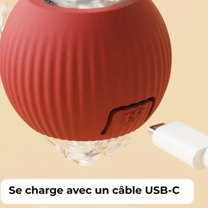 Câlinou™ | Stop l'Ennui. Lancez le Jeu. Obtenez un Chien Calme