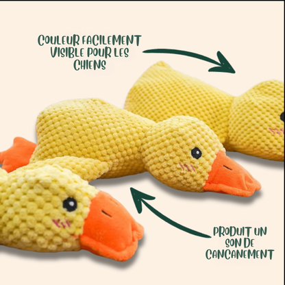 DuckZen™ | Le Coin-Coin Qui Apaise — Confort Instinctif et Plaisir Interactif !