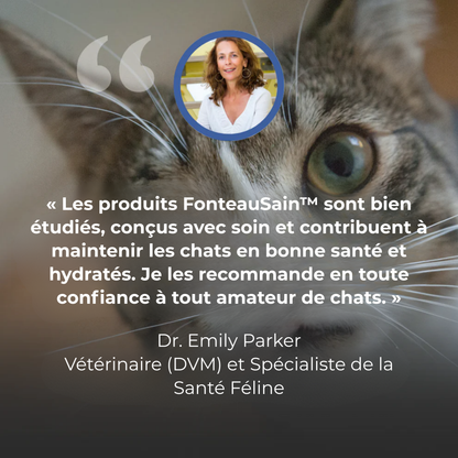 FonteauSain™ | Dites Adieu aux Bols Stagnants et Bonjour à l'Eau qui Prolonge la Vie.