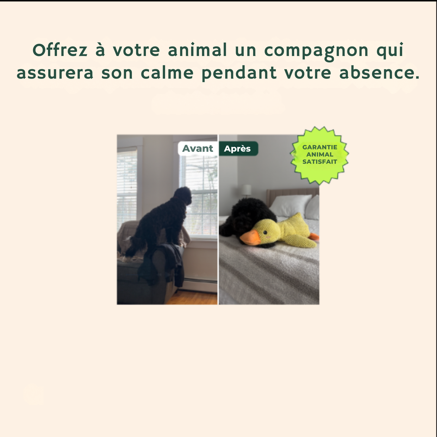 DuckZen™ | Le Coin-Coin Qui Apaise — Confort Instinctif et Plaisir Interactif !