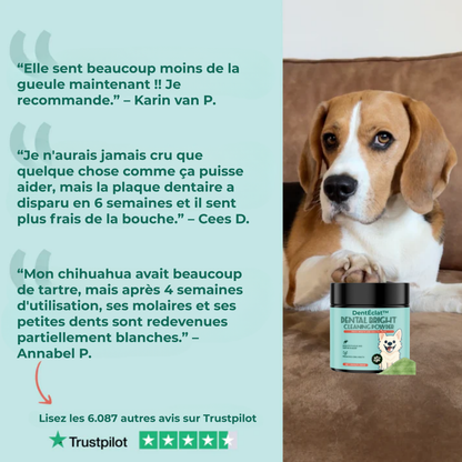 DentÉclat™ | Le Secret Probiotique d'un Sourire Plus Éclatant et Plus Sain.