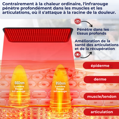 Dorsactiv™ | La Clé d'une Détente Profonde du Bas du Dos