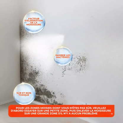 CleanPlâtre™ | Éliminez la Moisissure, Bloquez sa Réapparition Définitivement