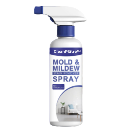 CleanPlâtre™ | Éliminez la Moisissure, Bloquez sa Réapparition Définitivement