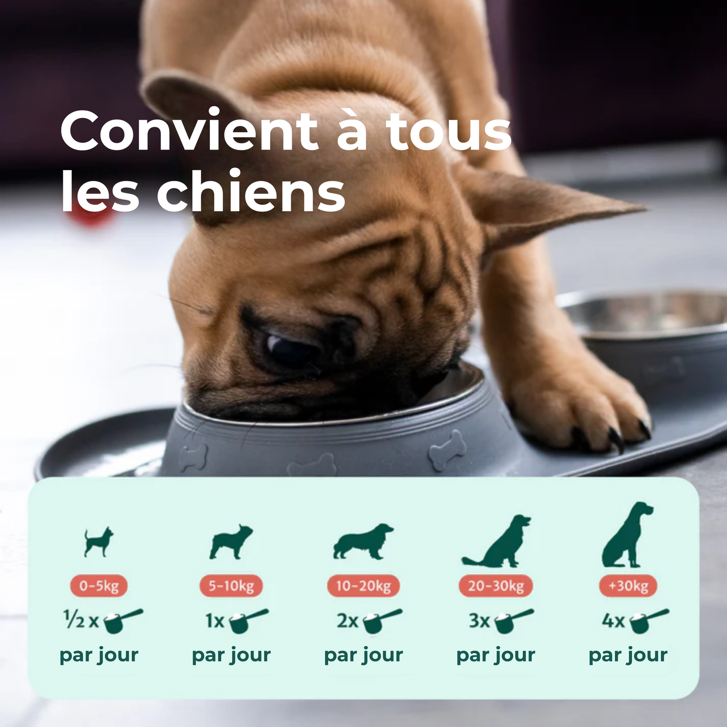 DentÉclat™ | Le Secret Probiotique d'un Sourire Plus Éclatant et Plus Sain.