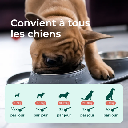 DentÉclat™ | Le Secret Probiotique d'un Sourire Plus Éclatant et Plus Sain.