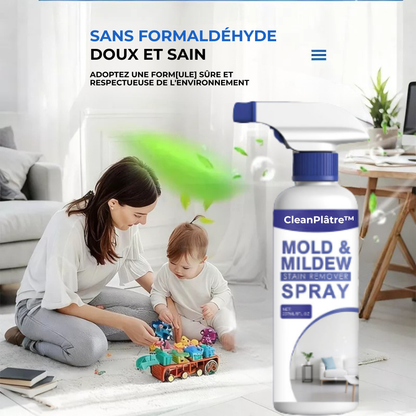 CleanPlâtre™ | Éliminez la Moisissure, Bloquez sa Réapparition Définitivement